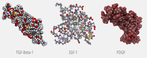 Факторы роста TGF-Beta-1 IGF-1 PDGF