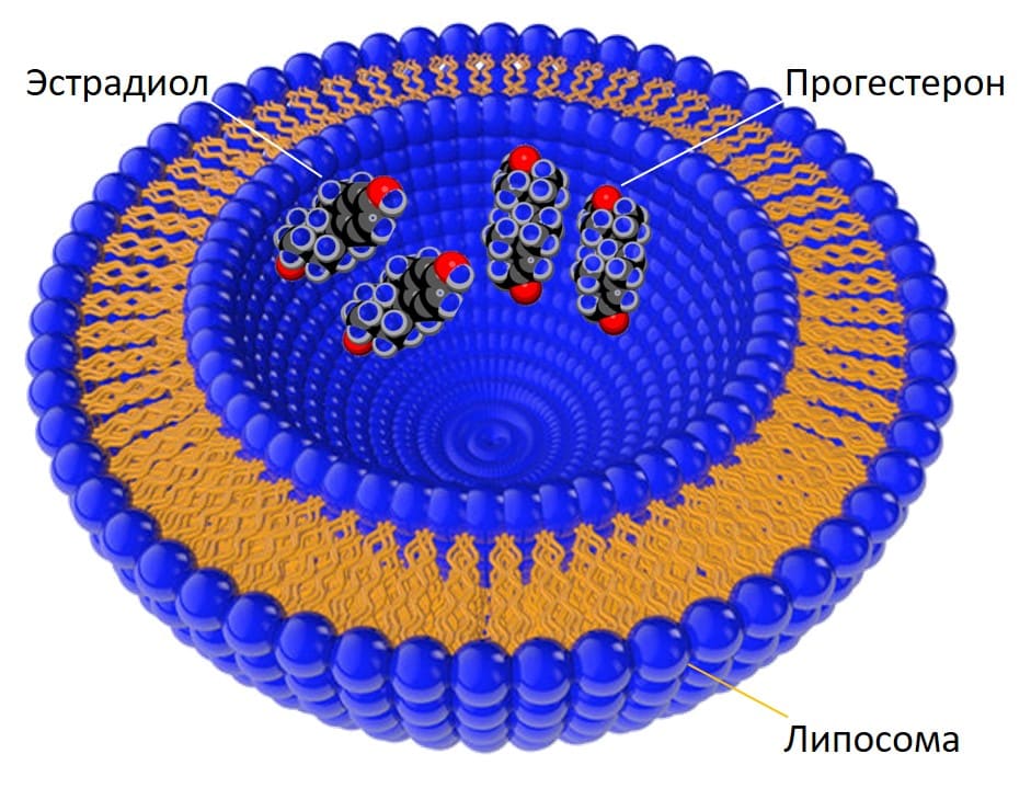 Липосомы