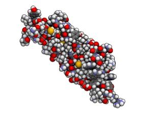 TGF-beta-Transforming-Growth-Factor