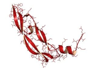 Vampiere-Liftinag-Growth-Factor-VEGF-PRP