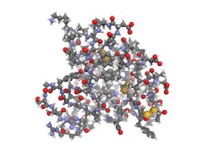 Vampir-Lifting-Growth-Factor-IGF-1-Insulin-like-PRP